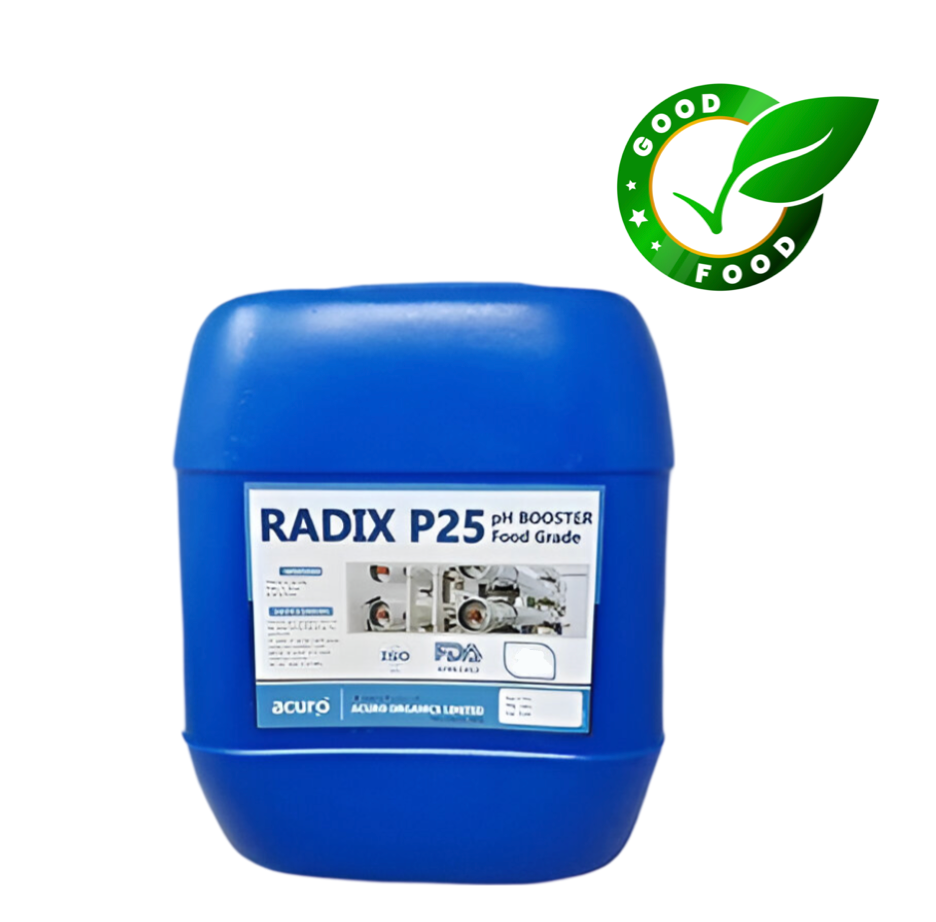 Radix P25 – pH Booster for RO – Food Grade – Acuro (5 Kg) | Enhances RO System Performance