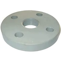 1″ PP Flange for High Pressure Pump